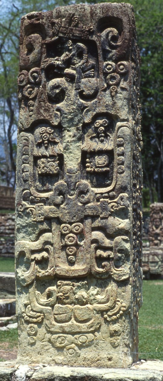 Baksidan av stela B, Copan, sen klassisk period, 731 e.Kr av Mayan