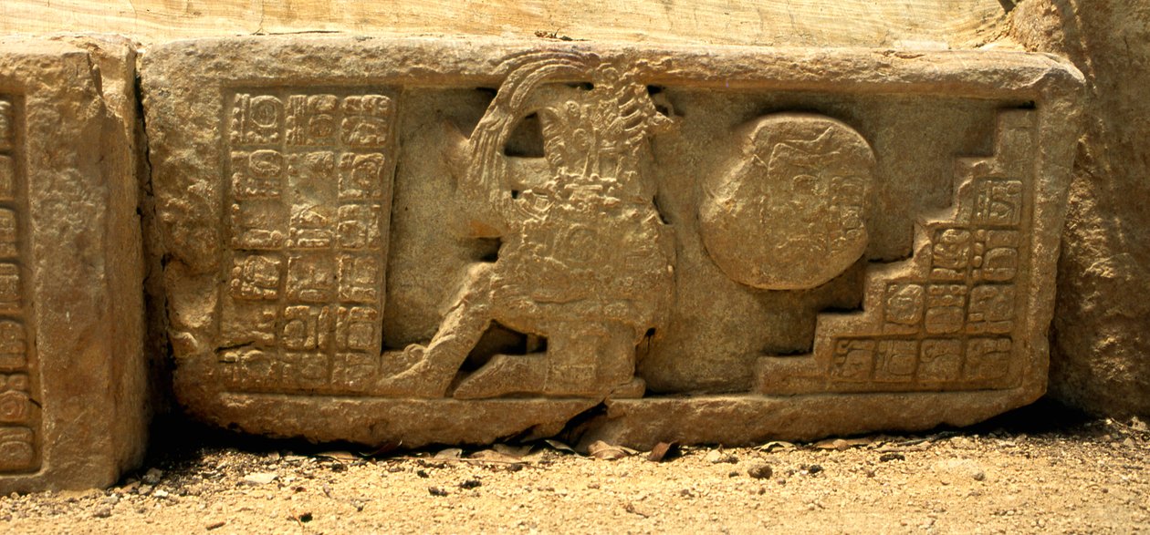 Låg relief av en bollspelsspelare, bollen och glyferna som ger en beskrivning, sen klassisk period (700-900 e.Kr.) av Mayan