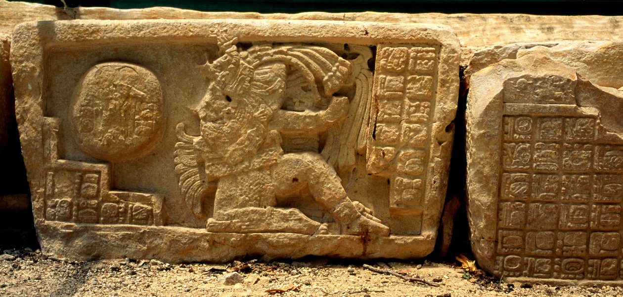 Låg relief av en bollspelare, bollen och glyferna som ger en beskrivning, sen klassisk period (700-900 e.Kr.) av Mayan