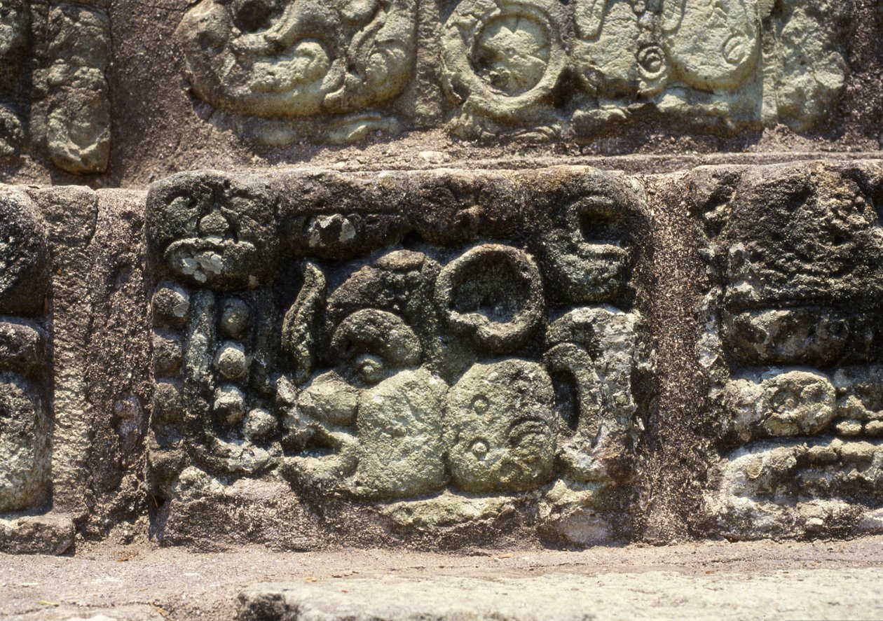 Glyf av staden Copan på den hieroglyfiska trappan, sen klassisk period (600-900) c.760 e.Kr. av Mayan