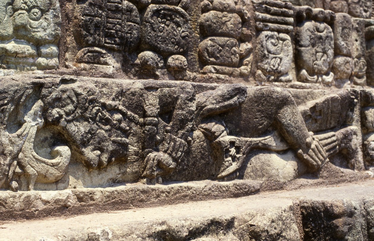 Fånge på trappan i den hieroglyfiska trappan, Copan, sen klassisk period (600-900) ca 760 e.Kr. av Mayan