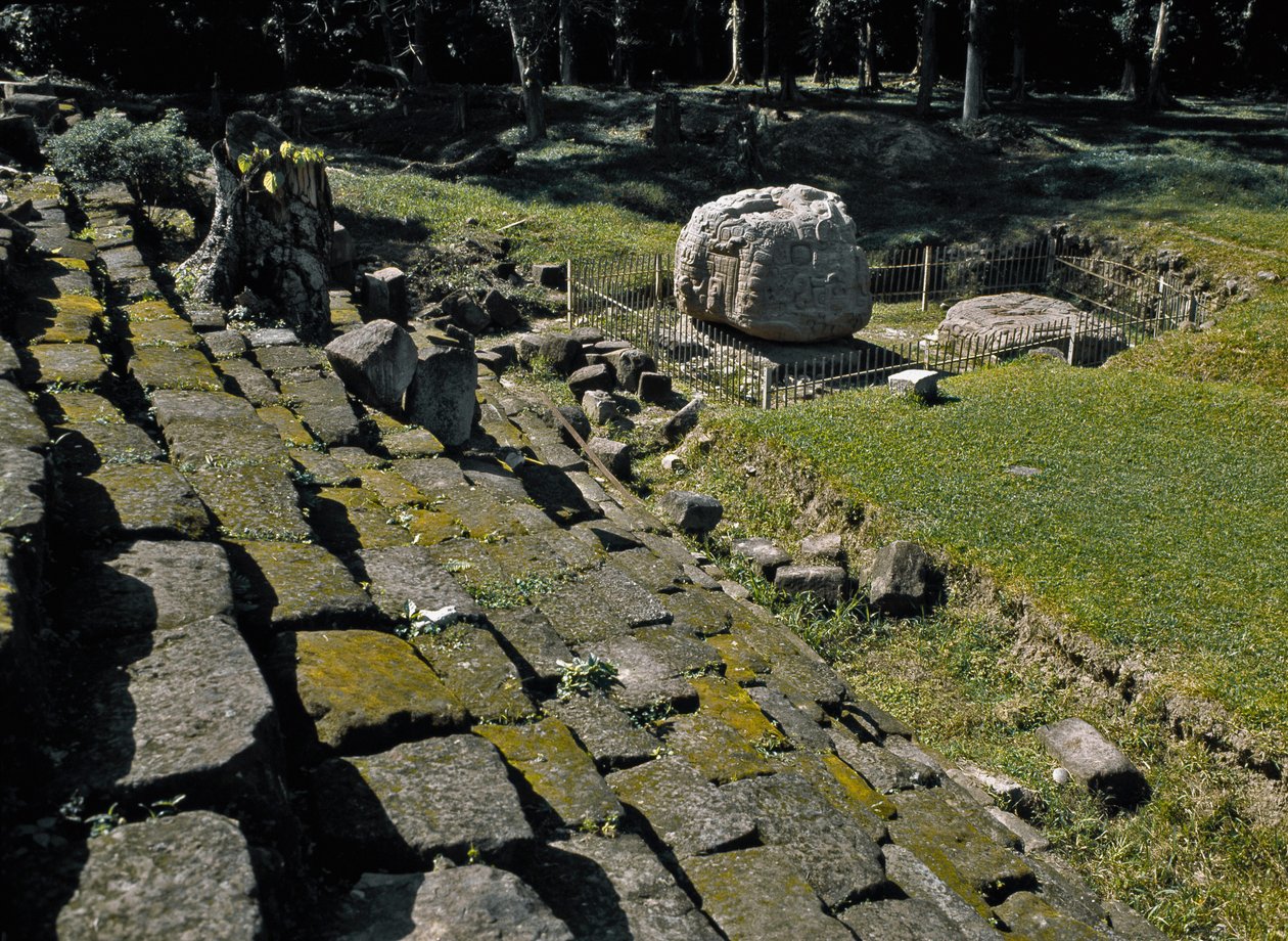 Zoomorfiskt altare P av Mayan
