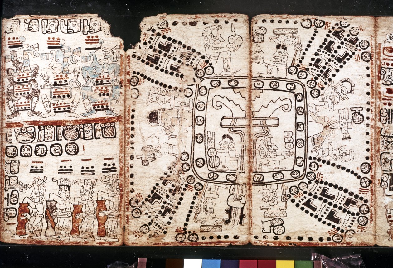 MAYA CIVILIZATION: Codex Tro-Cortesiano, mitten av 1400-talet (bark- och växtfiber) av Mayan Mayan