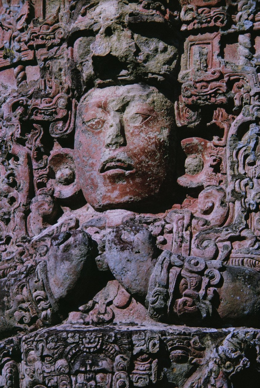 Stele i Grand Plaza (sten) (detalj av 231827) av Mayan Mayan