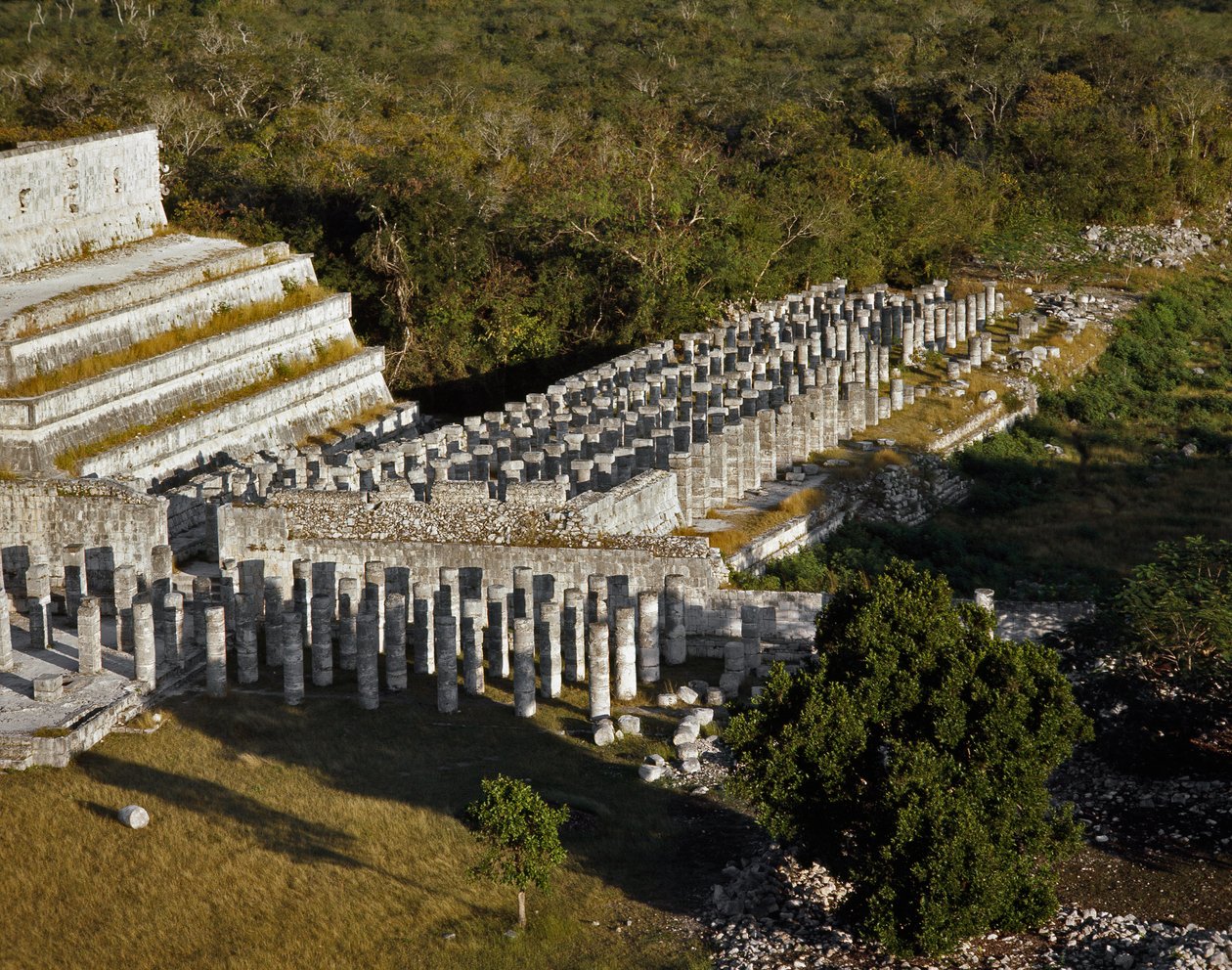 Tempel med 1000 kolonner av Mayan Mayan