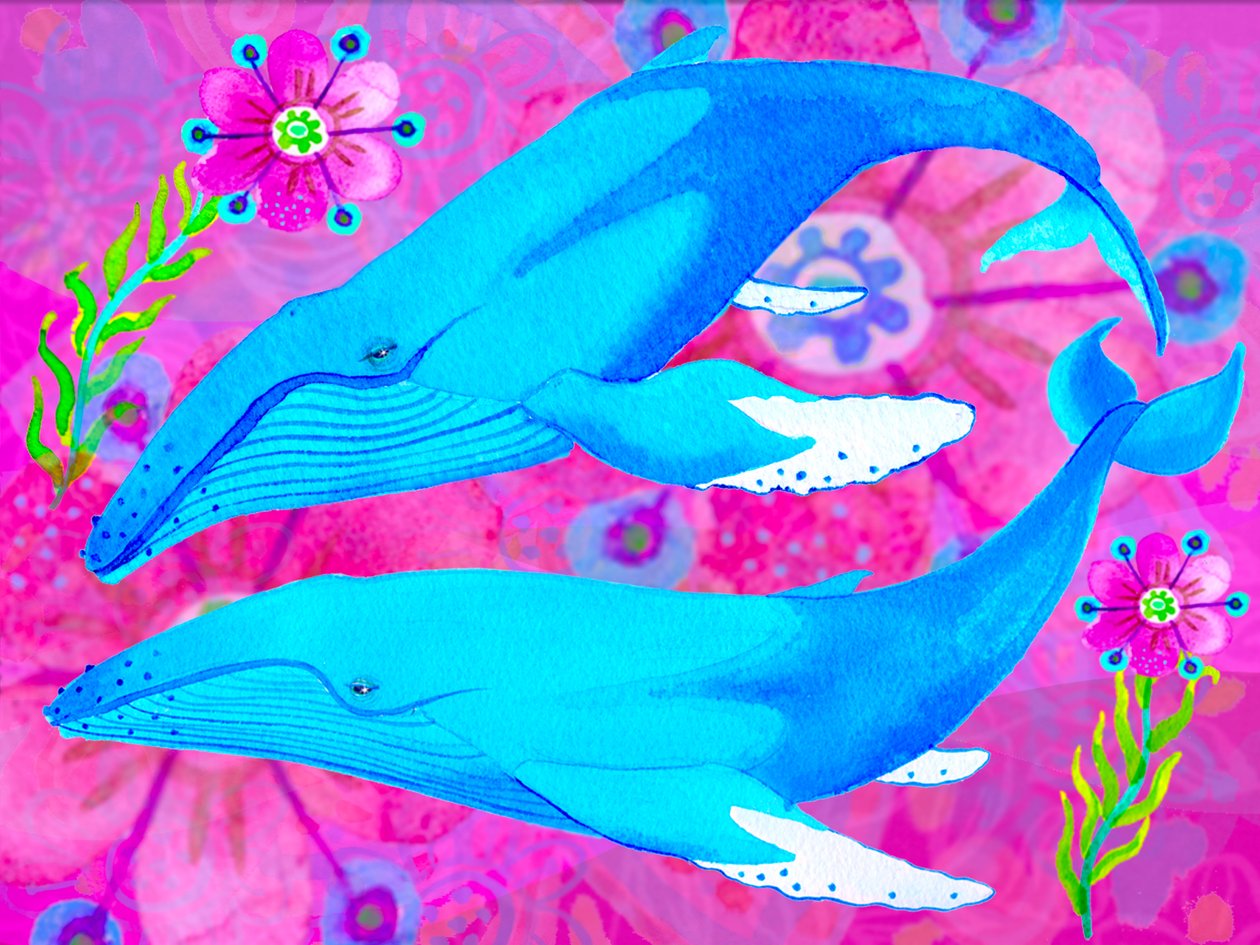 Whales in Love, 2017 swed av Maylee Christie