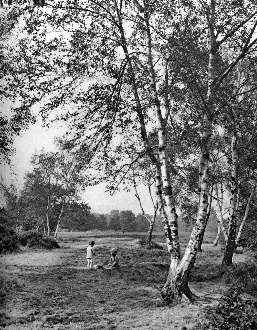 Putney Heath, London, 1926-1927 av McLeish