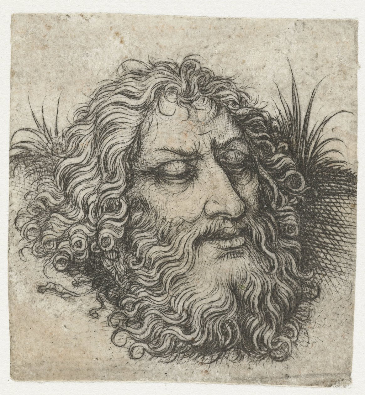 Johannes Döparens eller Goliats huvud av Meester van het Amsterdamse Kabinet