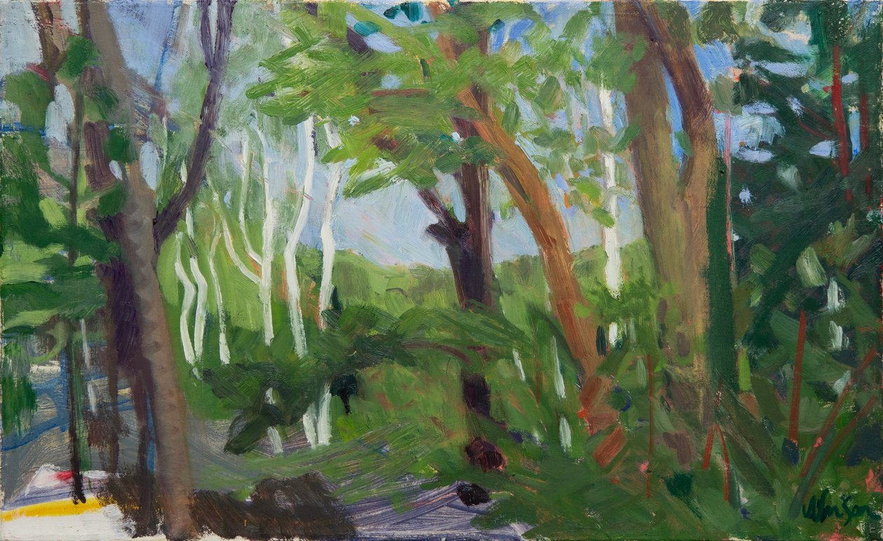 A Stand of Birch, 2016 (olja på duk) av Megan Williamson