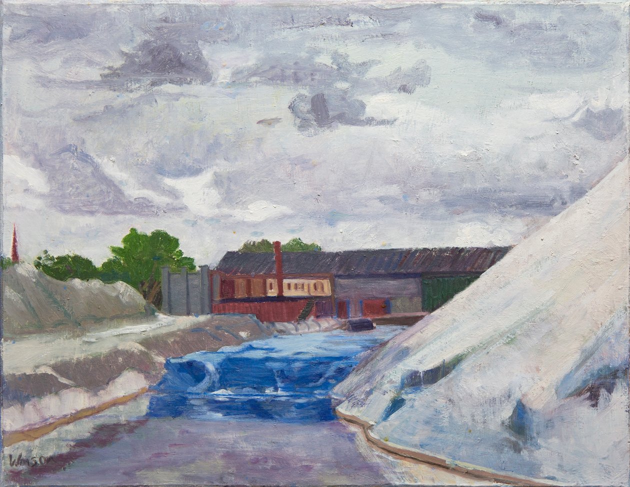 Salt Dam on the Cal Sag, 2014 (olja på duk) av Megan Williamson
