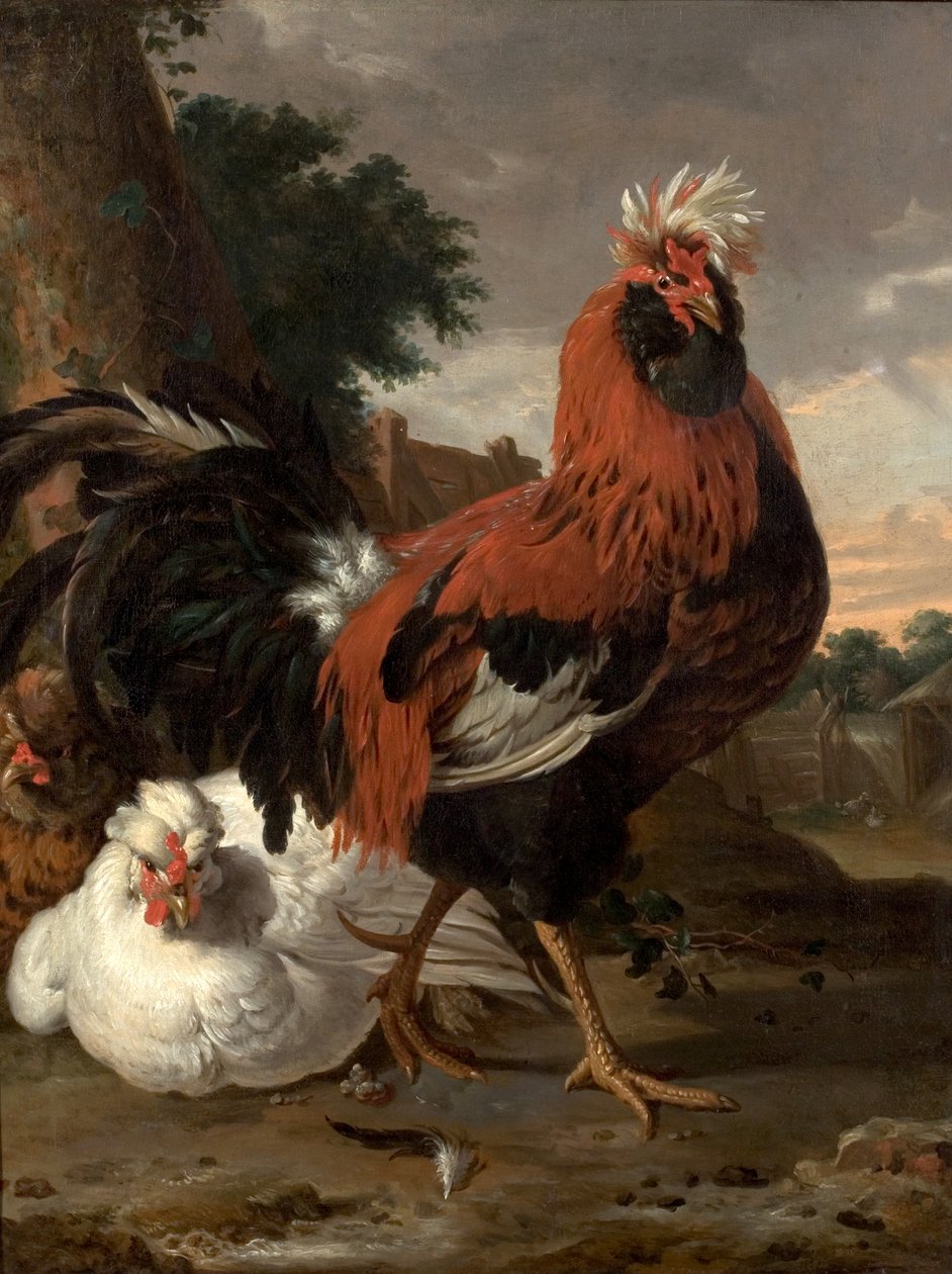 Fjäderfä av Melchior de Hondecoeter