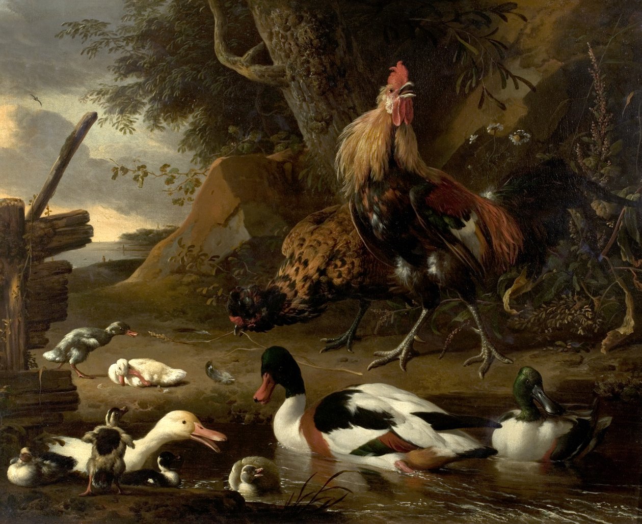 Två höns och ankor på en damm av Melchior de Hondecoeter