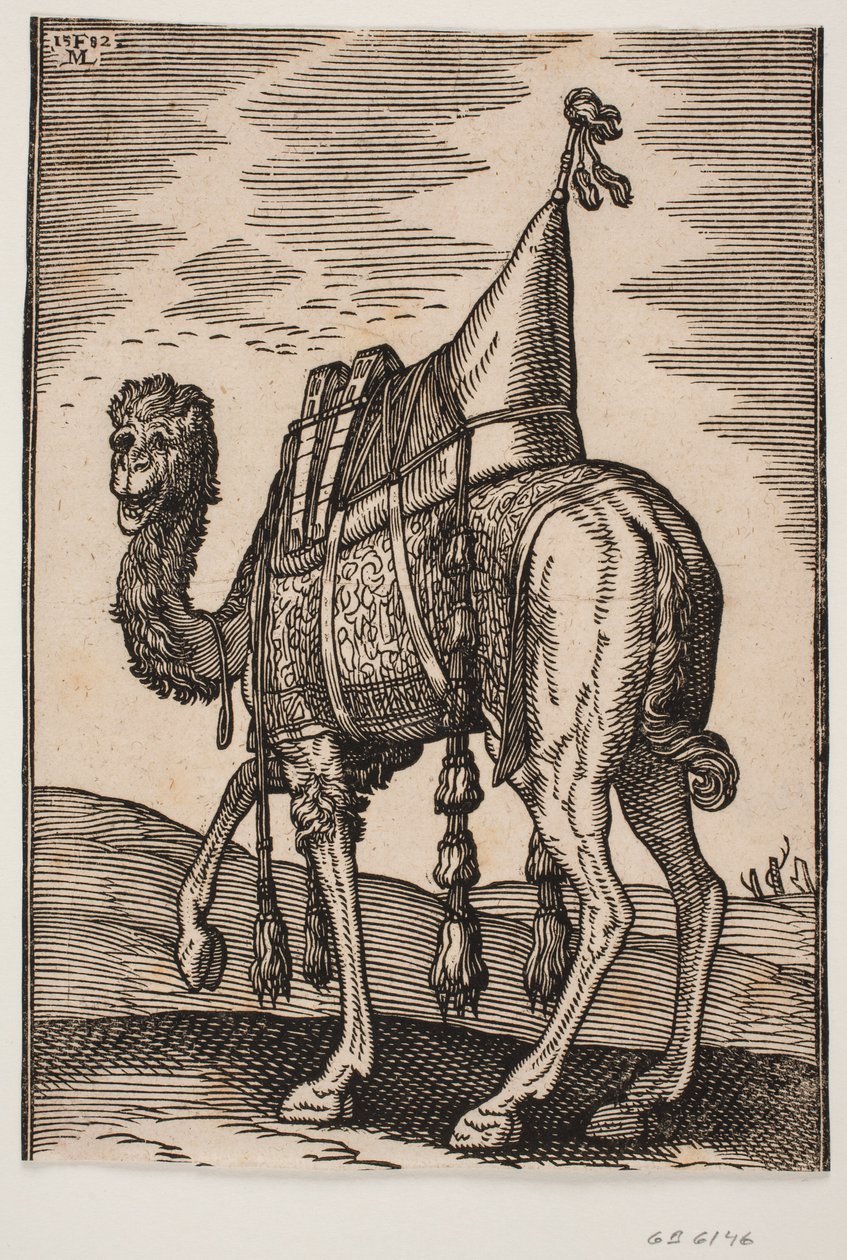 En sadlad kamel av Melchior Lorck