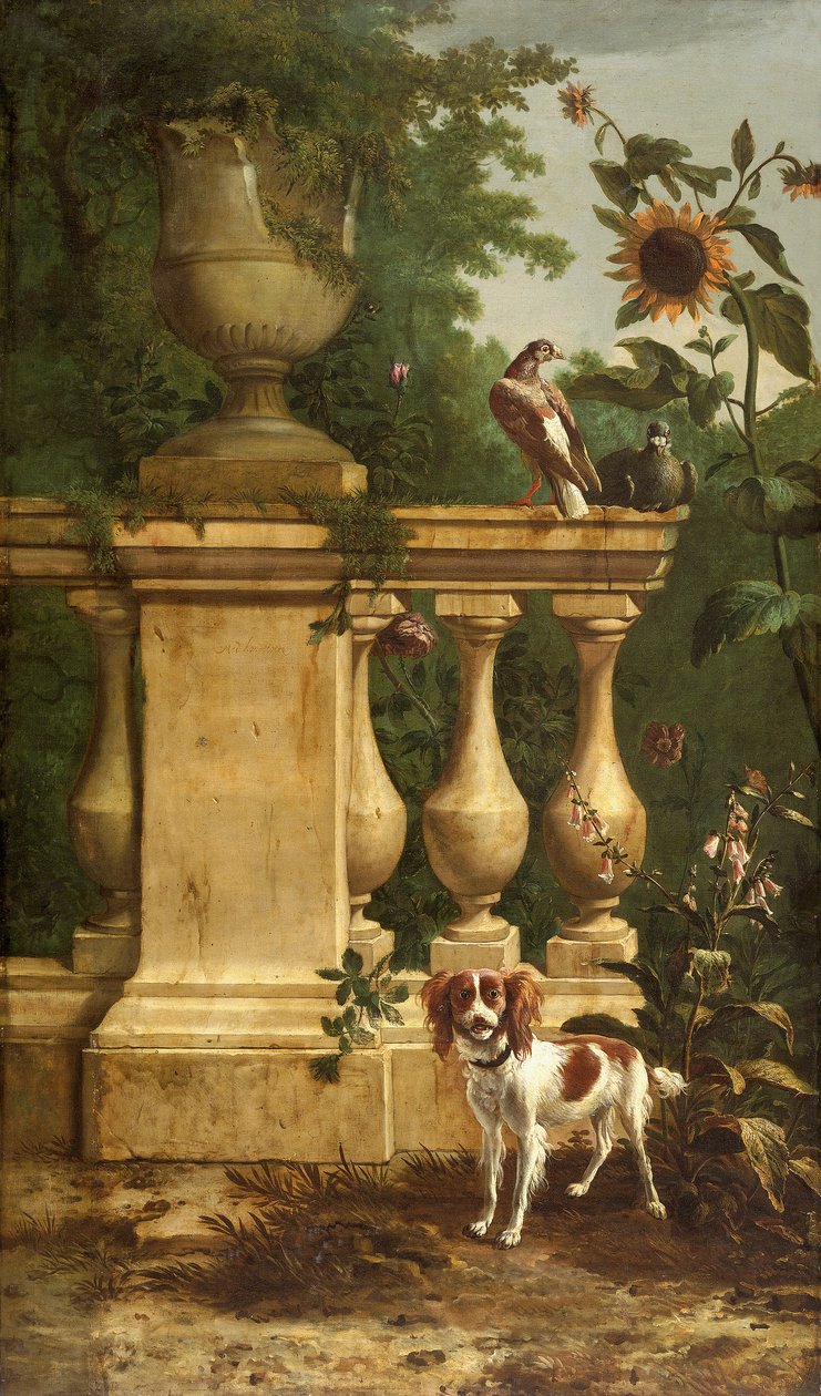 Duvor och en hund i en trädgård, c1660-1690. av Melchior d