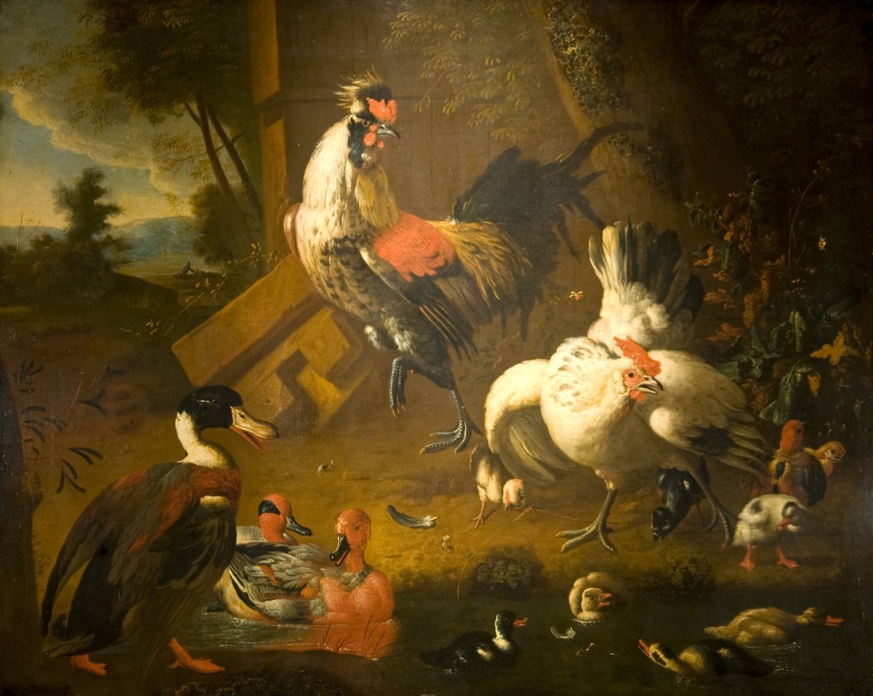 En kuk med en höna och tre ankor av Melchior de (studio of) Hondecoeter