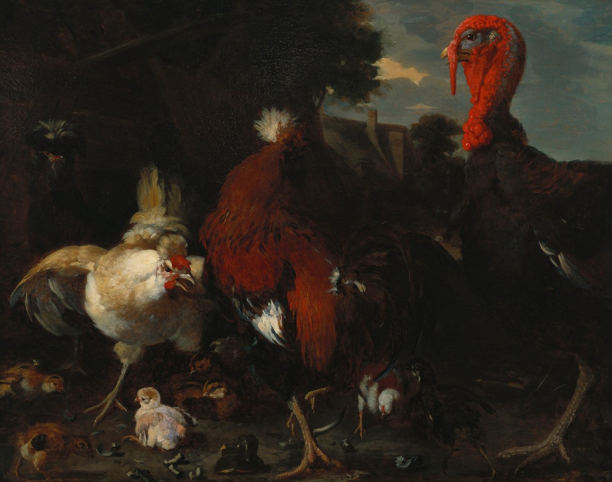 En höna, tupp och kalkon på en gård av Melchior de Hondecoeter