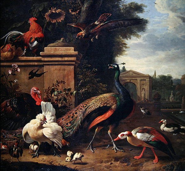 En påfågel, en hök och olika fåglar och ankor i en park (olja på duk) av Melchior de Hondecoeter