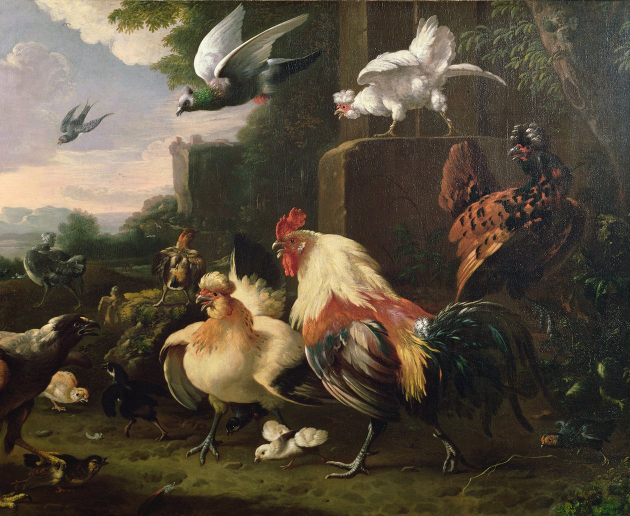En tupp och annan fågel i ett landskap av Melchior de Hondecoeter