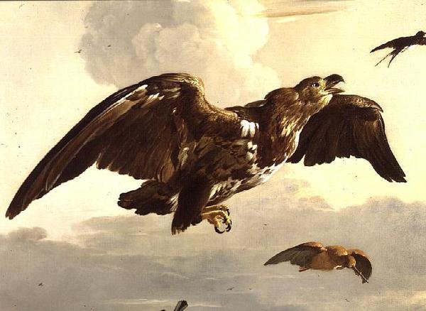 En örn och en svala på flykt av Melchior de Hondecoeter
