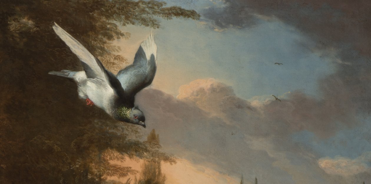 Detalj från Menageriet, ca 1680 (olja på duk) av Melchior de Hondecoeter