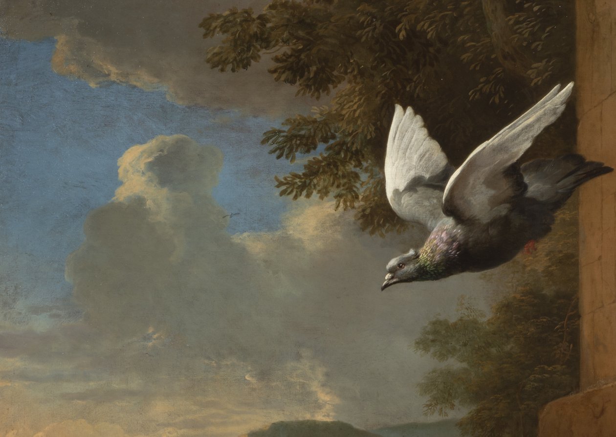 Detalj från Menageriet, ca 1680 (olja på duk) av Melchior de Hondecoeter