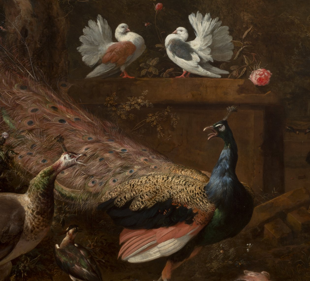 Detalj från Menageriet, c.1680 av Melchior de Hondecoeter