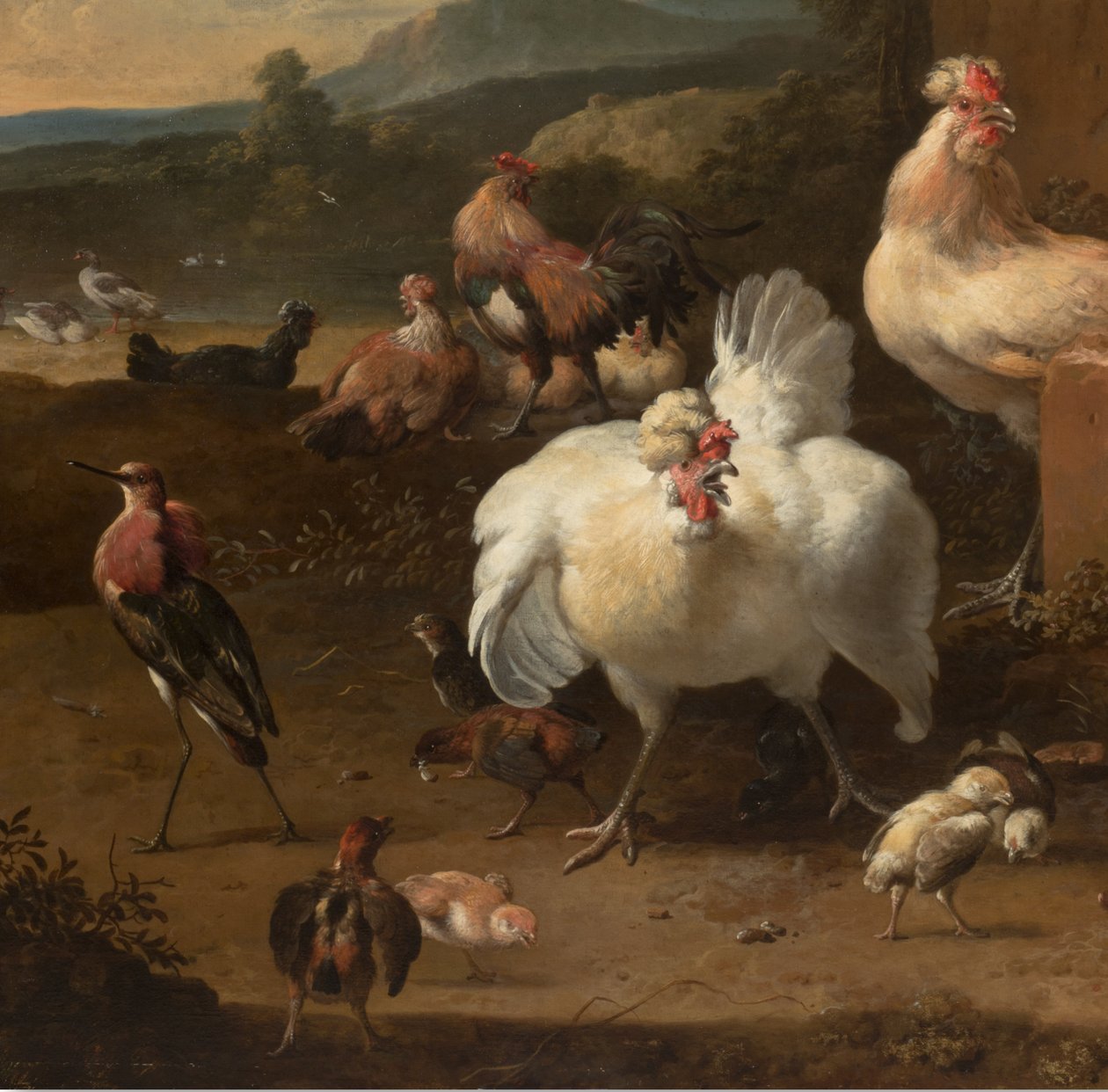 Detalj från Menageriet, c.1680 av Melchior de Hondecoeter