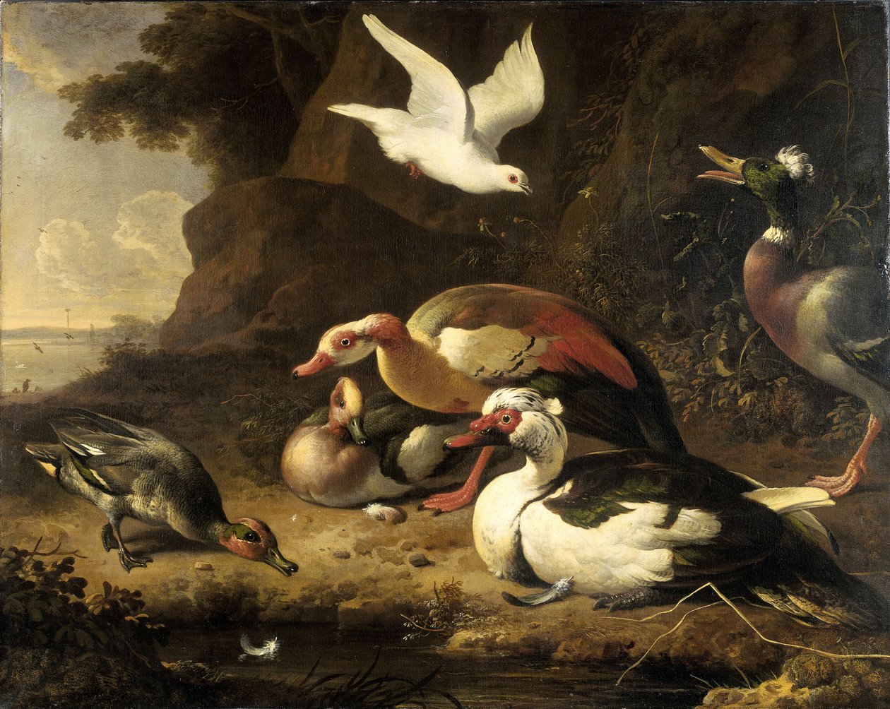  av Melchior de Hondecoeter