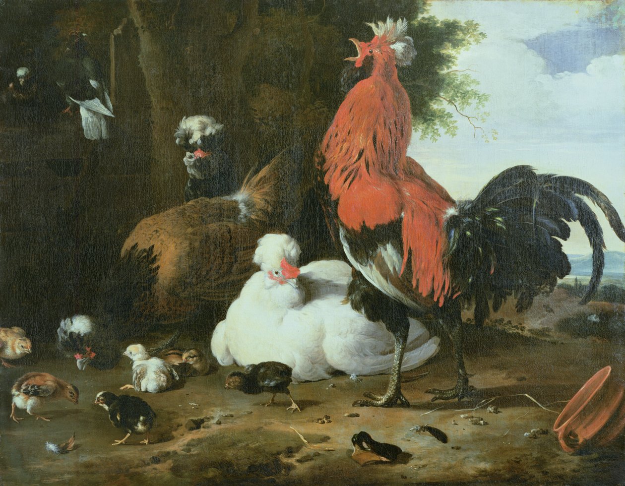 Gårdshöns med duvor av Melchior de Hondecoeter