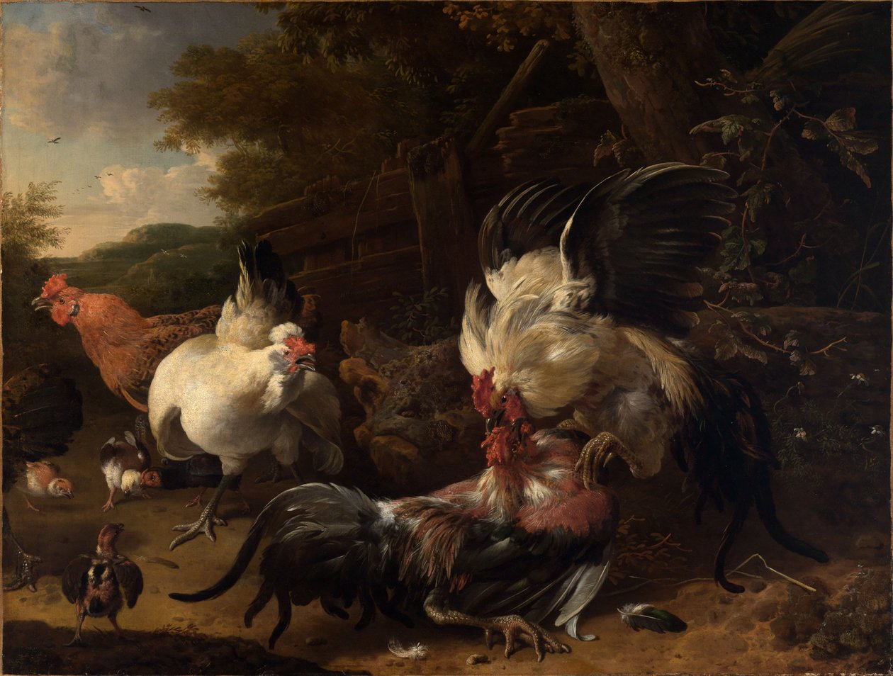 Kämpande tuppar av Melchior de Hondecoeter