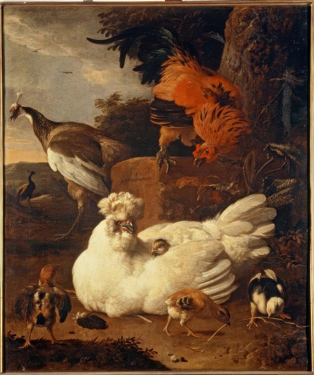 M. de Hondecoeter, hönsmamma med kycklingar av Melchior de Hondecoeter