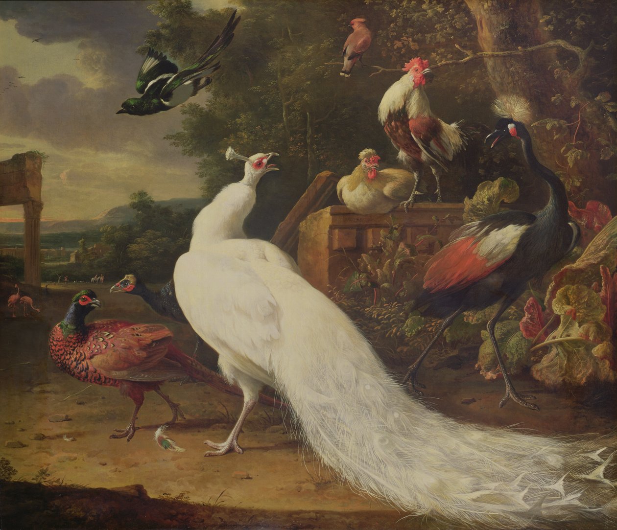 Den vita påfågeln av Melchior de Hondecoeter