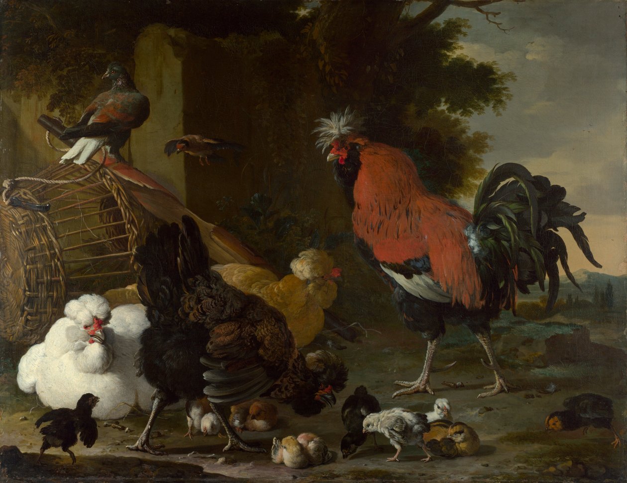 "A Cock, Hens and Chicks" (A Cock, Hens and Chicks) Målning av Melchior de Hondecoeter (1636-1695) Olja på duk ca 1668-1670 Dim 85,5x110 cm National Gallery, London av Melchior de Hondecoeter