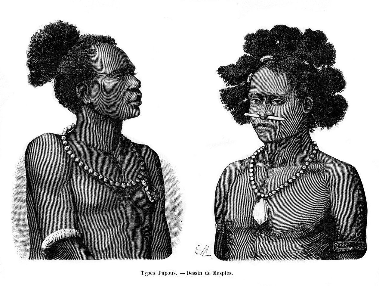 Papuanska typer, 1800-talet av Mesples