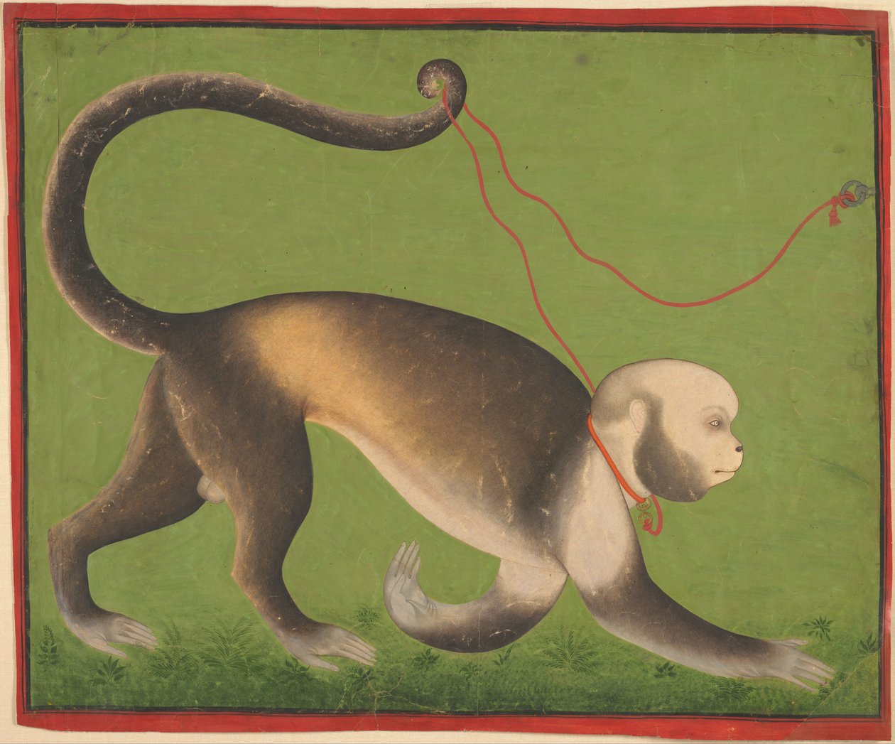A Monumental Portrait of a Monkey av Mewar India; Rajasthan