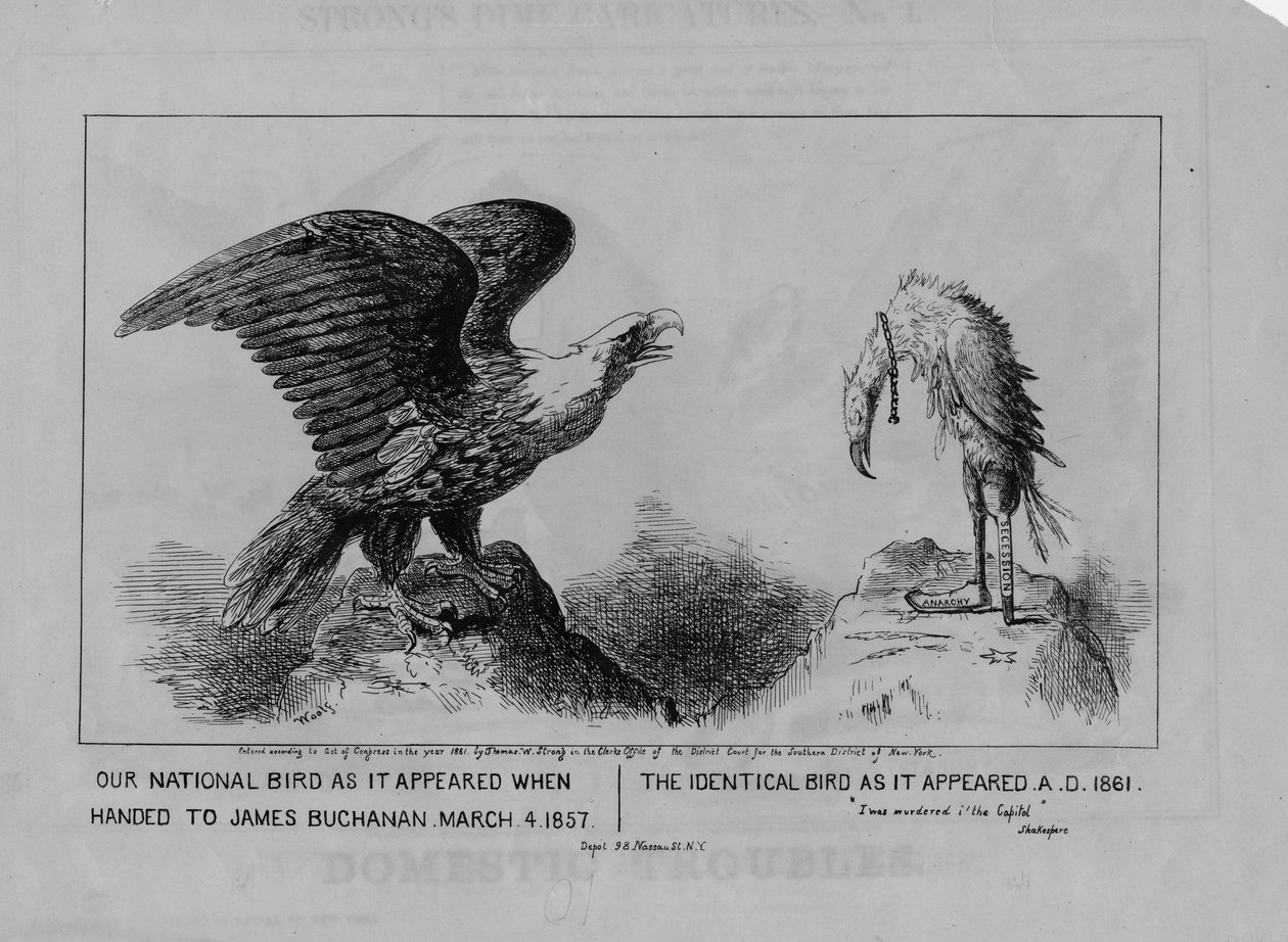 Vår nationalfågel, publicerad 1861 av Michael Angelo Woolf