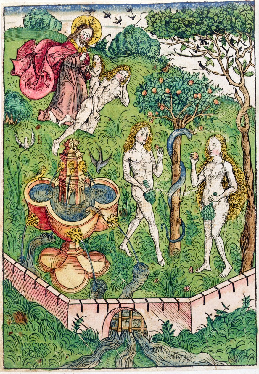 Adam och Evas skapelse och frestelse, ur "Le tresor, ou recipient de la vraie richesse du salut de la beatitude eternelle" av Koberger, utgiven i Nürnberg 1491 (träsnitt i färg). av Michael Wolgemut