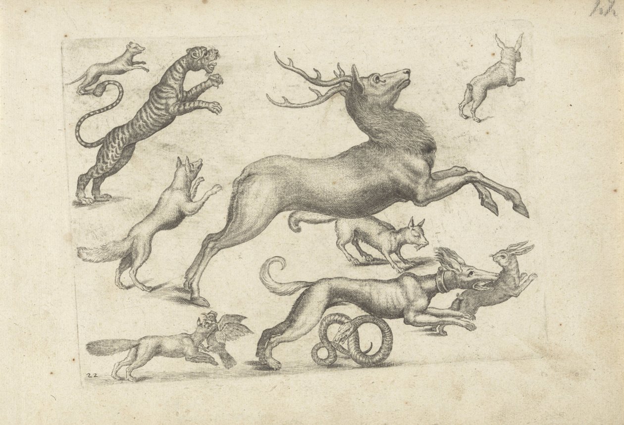 Studieblad med ritningsexempel: olika djur av Michael Snijders (attributed to)
