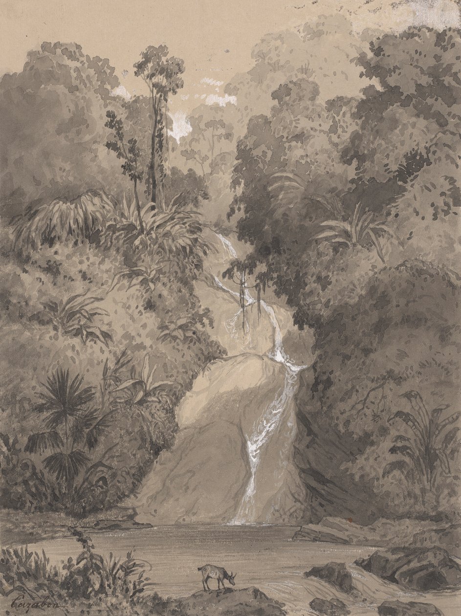 Cascade vid St. Anns av Michel Jean Cazabon