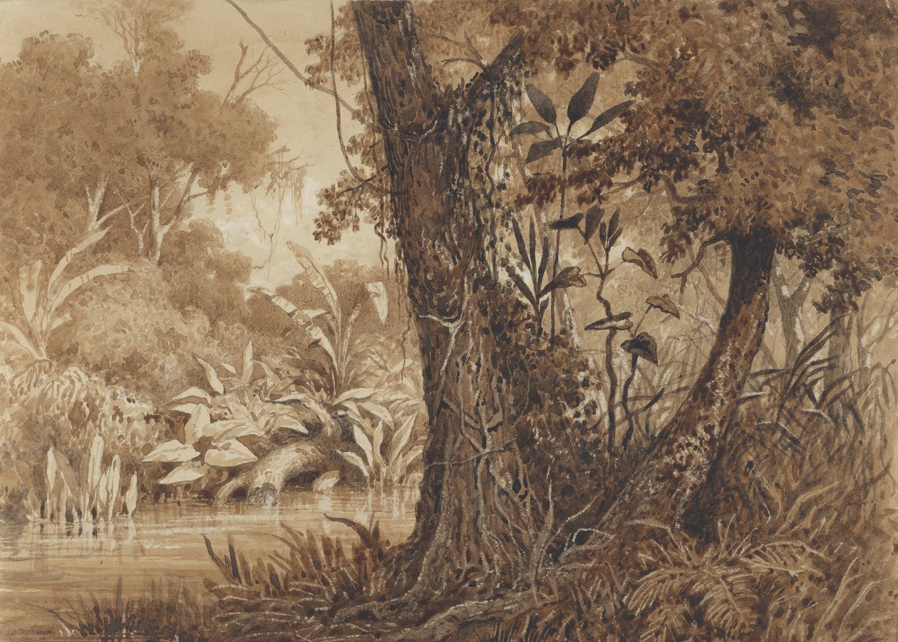 Vid floden Cimaronero av Michel Jean Cazabon