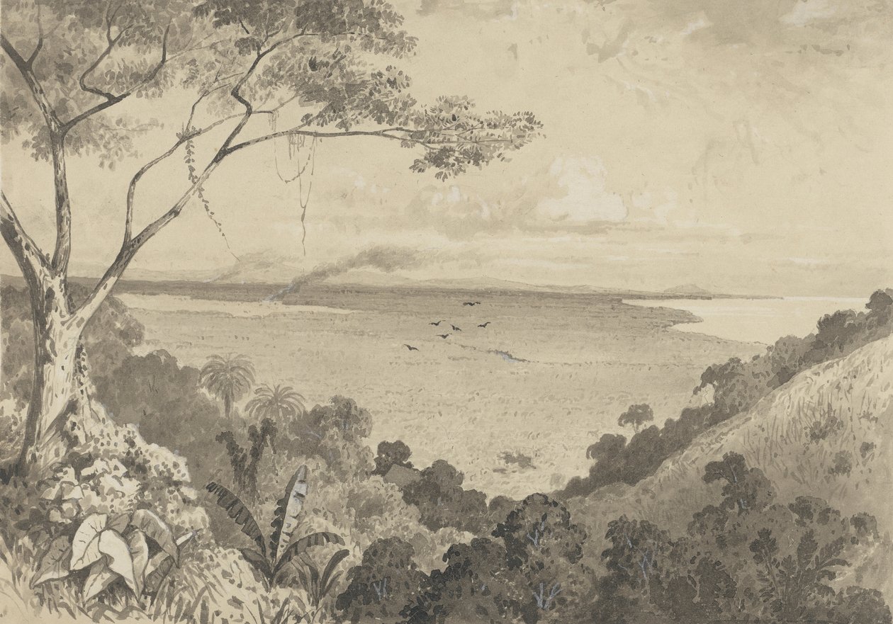 Utsikt från Laventille Hill av Michel Jean Cazabon