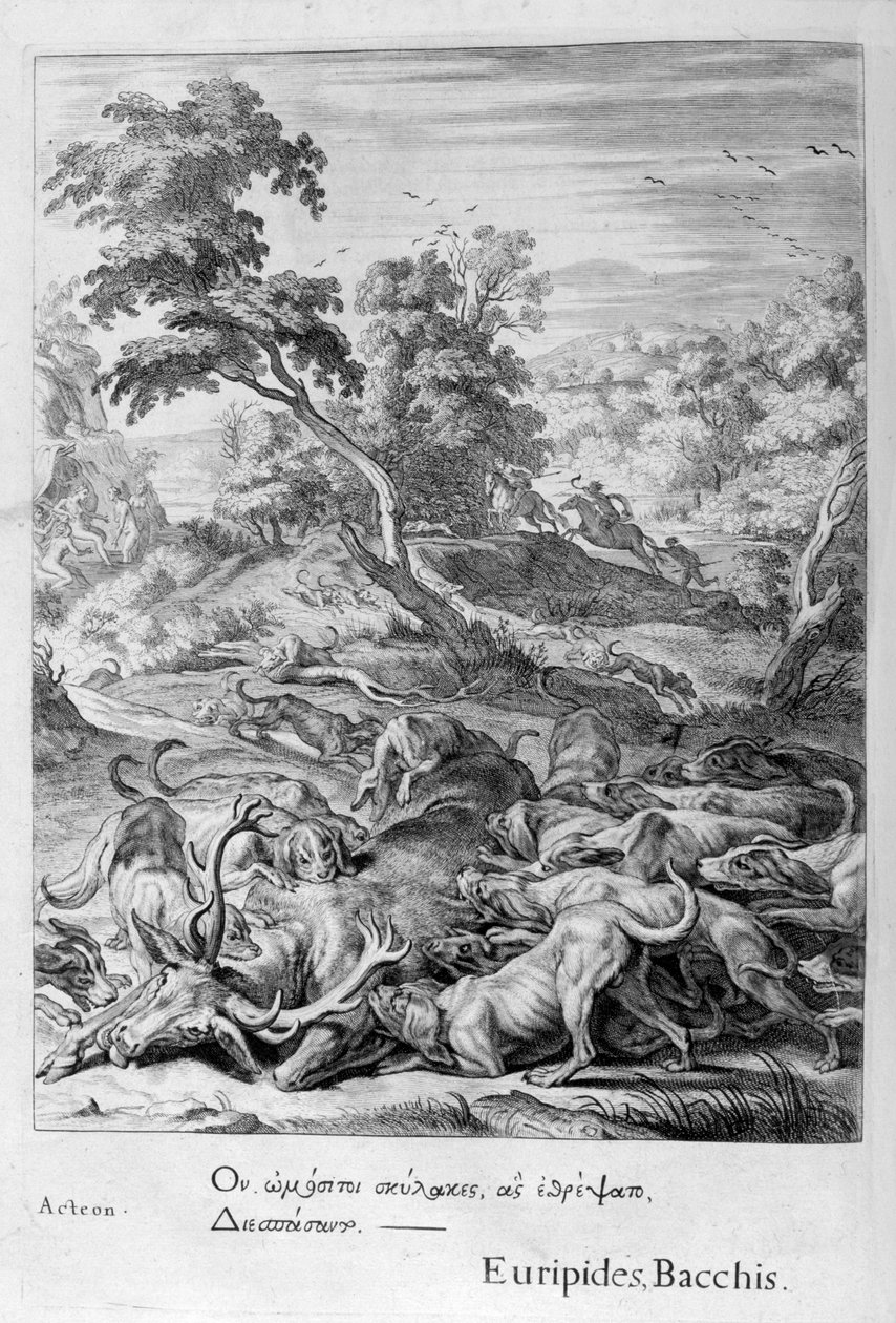 Actaeon förvandlades till en hjort och slukade av sina hundar, 1655 av Michel de Marolles