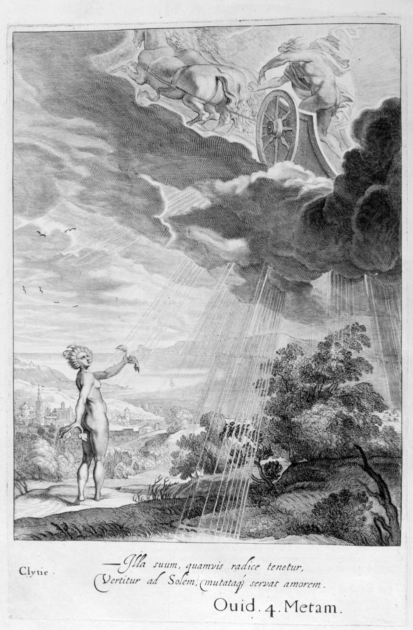 Clytie förvandlades till en solros, 1655 av Michel de Marolles