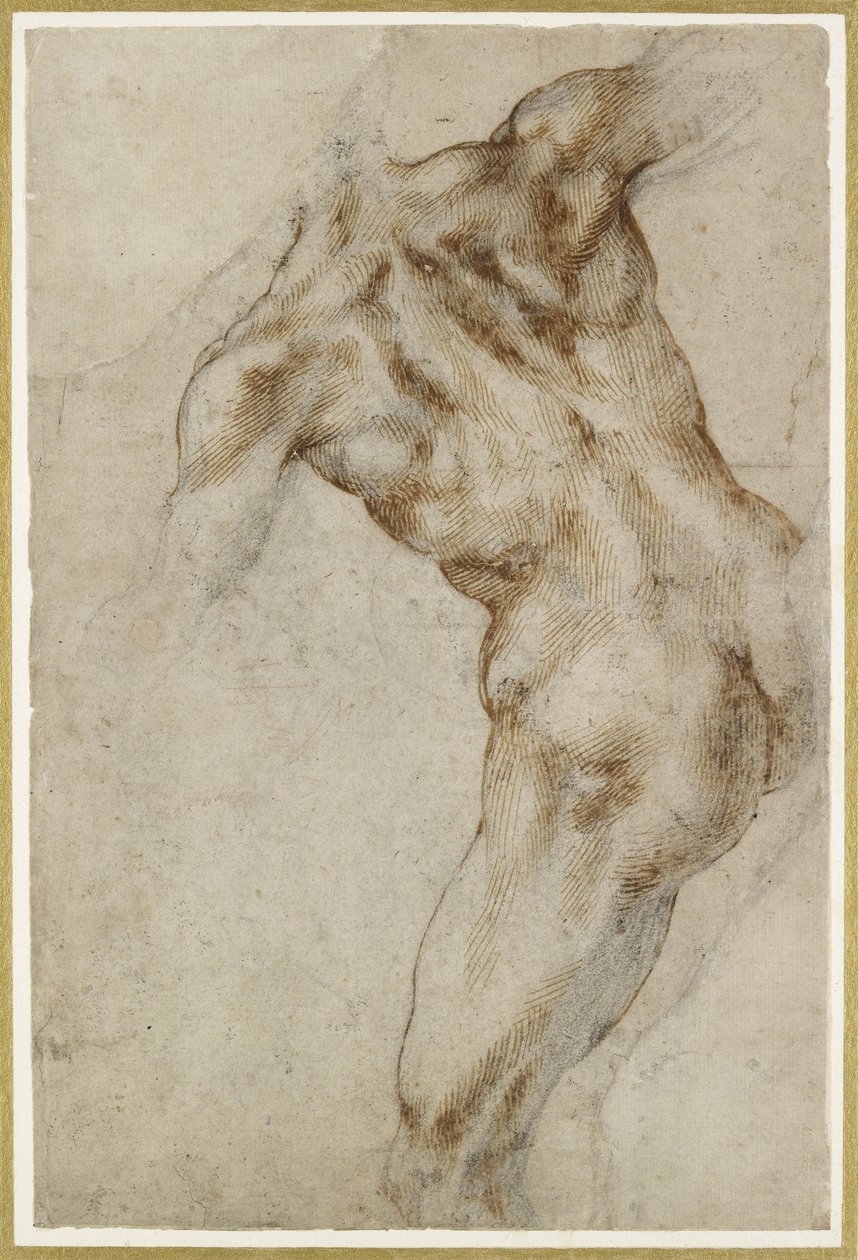 Naken hane Torso av Michelangelo Buonarroti