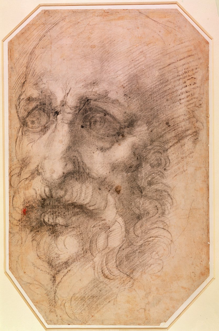 Porträtt av en skäggig man (svart krita på papper) (recto) (för verso se 191768) av Michelangelo Buonarroti