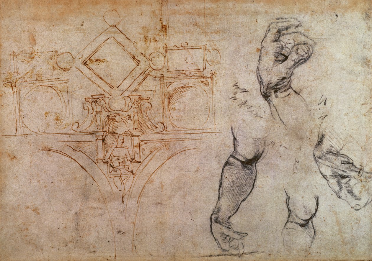 Schema för taket i Sixtinska kapellet, c.1508 (penna och bläck och krita på papper) av Michelangelo Buonarroti