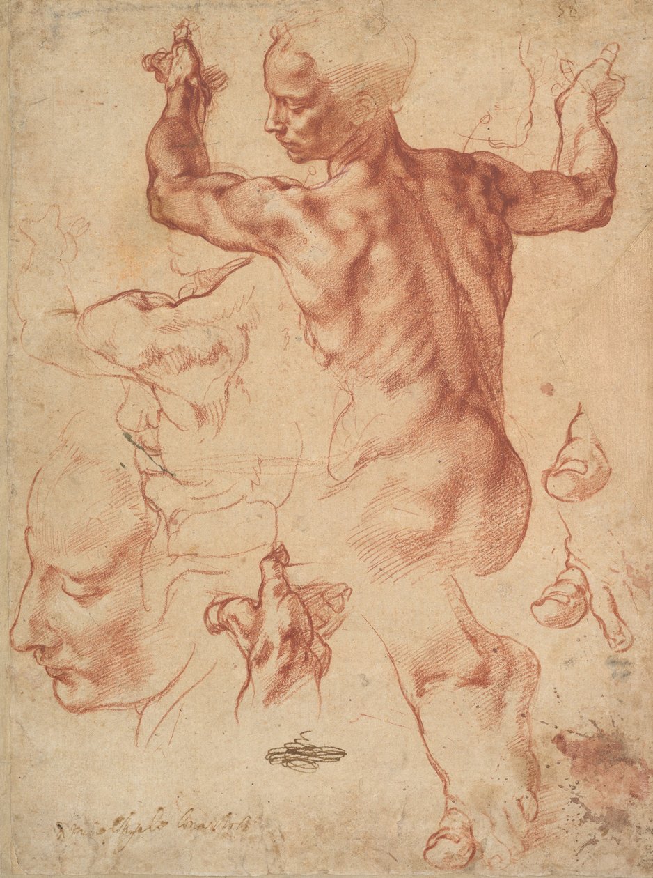 Studies for the Libyan Sibyl (recto), c.1510-11 (röd krita på papper) av Michelangelo Buonarroti