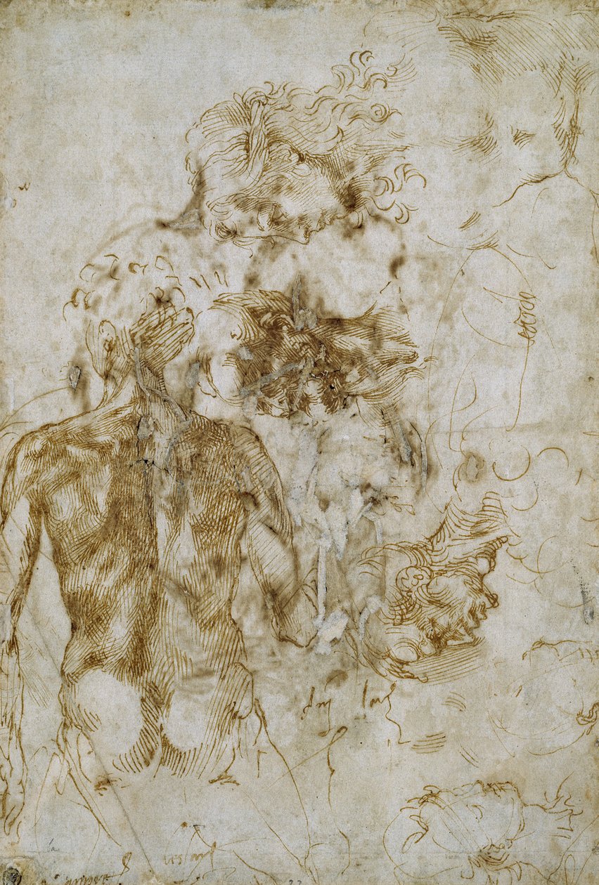 Studier av manlig naken av Michelangelo Buonarroti