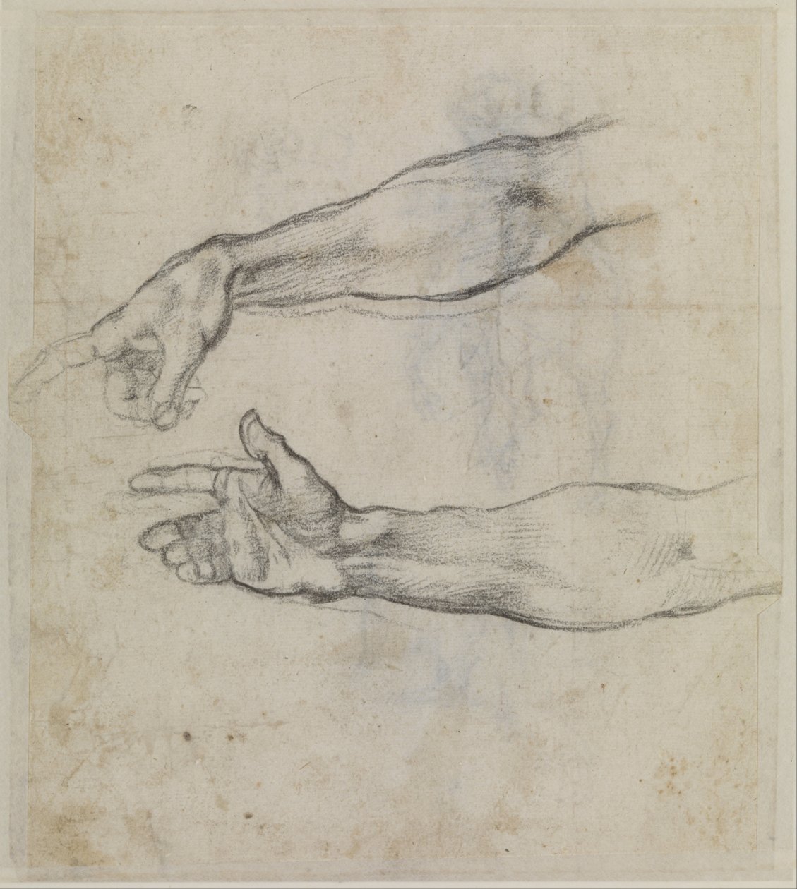 Studies of an outstretched arm for the fresco The Drunkenness of Noah in the Sistine Chapel av Michelangelo Buonarroti