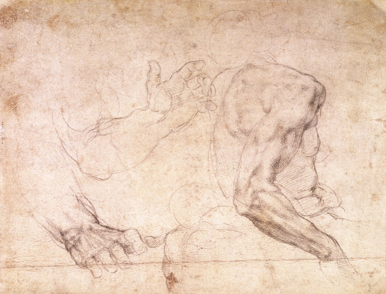 Studier av händer och en arm (svart krita på papper) (verso) av Michelangelo Buonarroti
